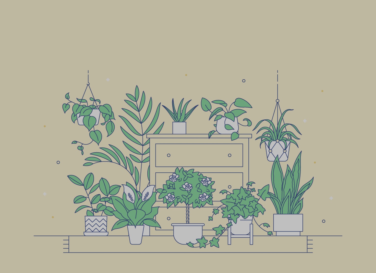 Комната с растениями рисунок