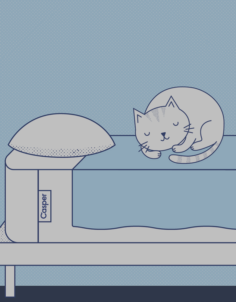 illustration of a cat sleeping on a bed