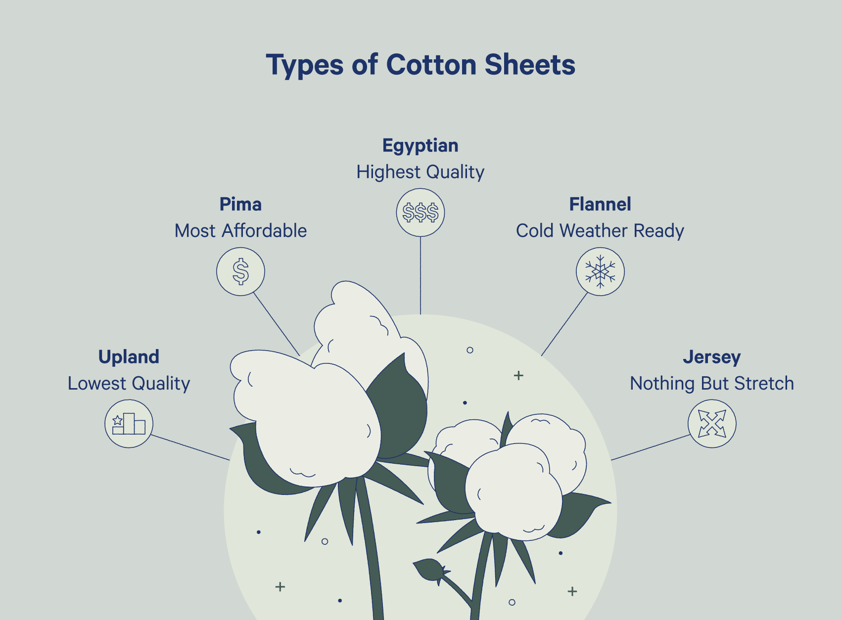 types of cotton sheets