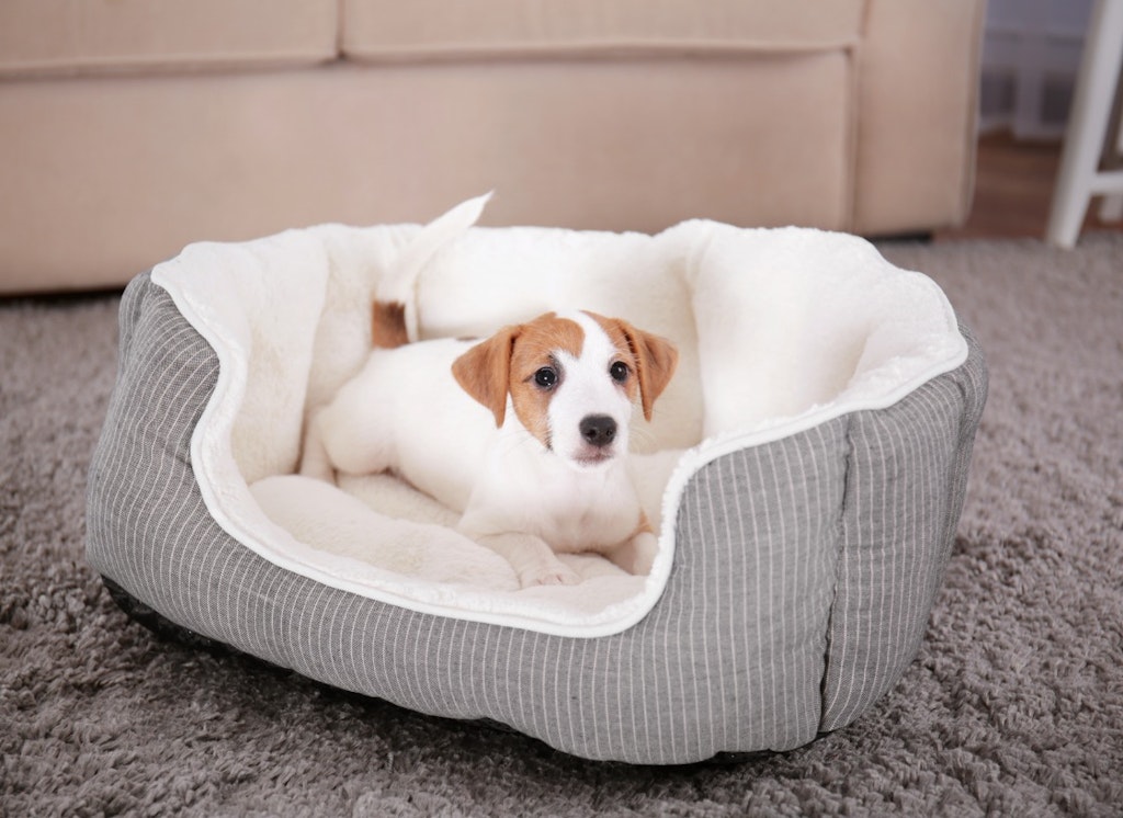 wash dog bed with stuffing