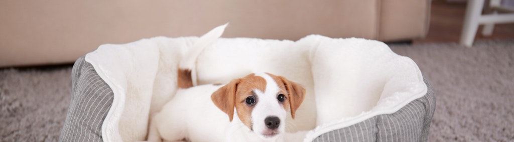 can you wash dog bed stuffing