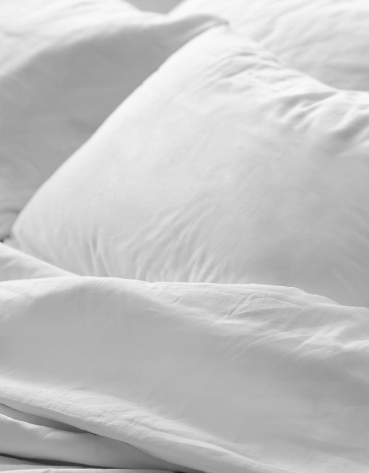 Two white pillows on all white bed