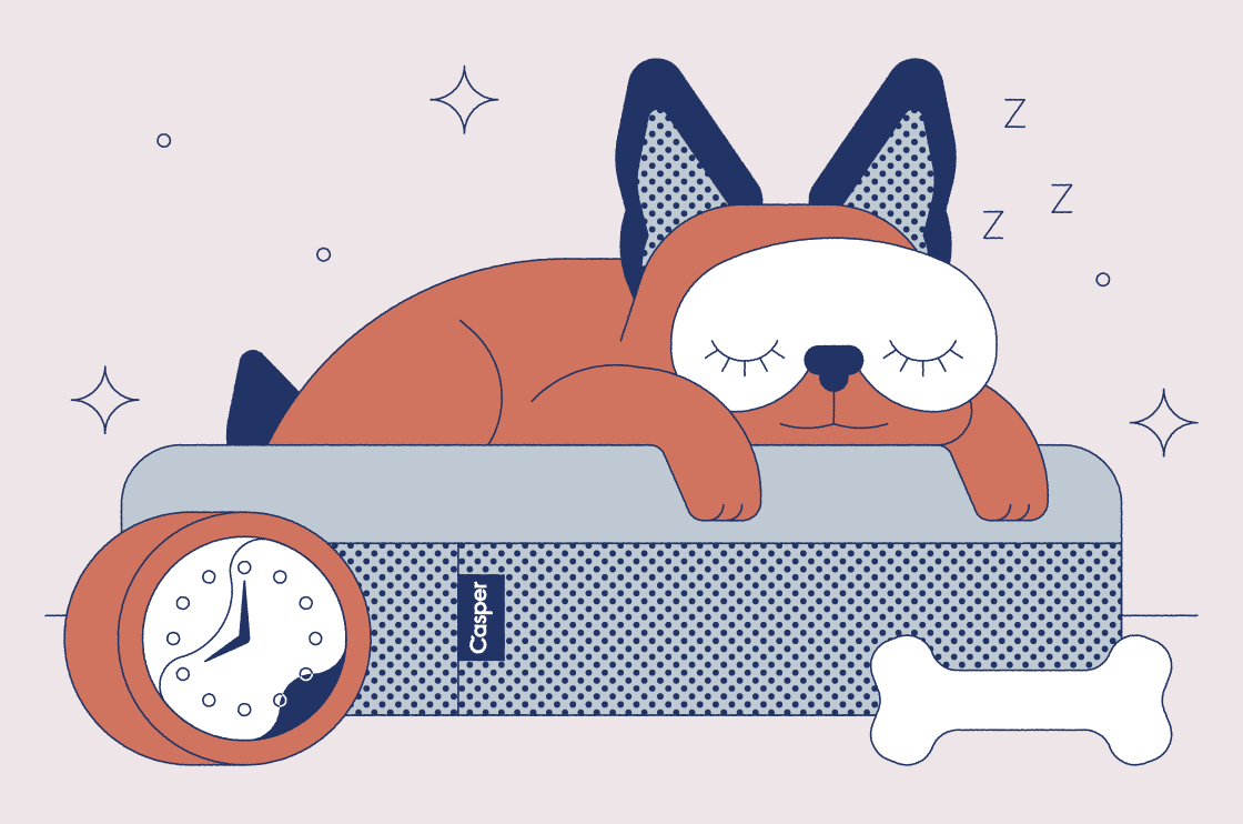 how many hours do dogs sleep