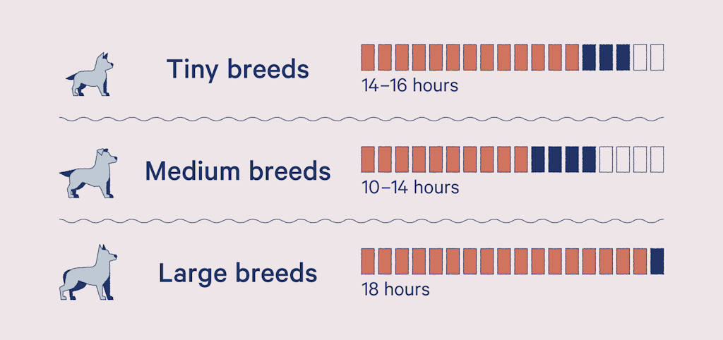 how much should puppies sleep
