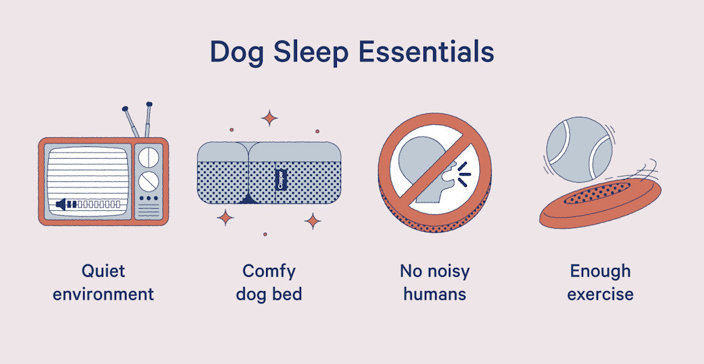 how-many-hours-do-dogs-sleep-casper-blog