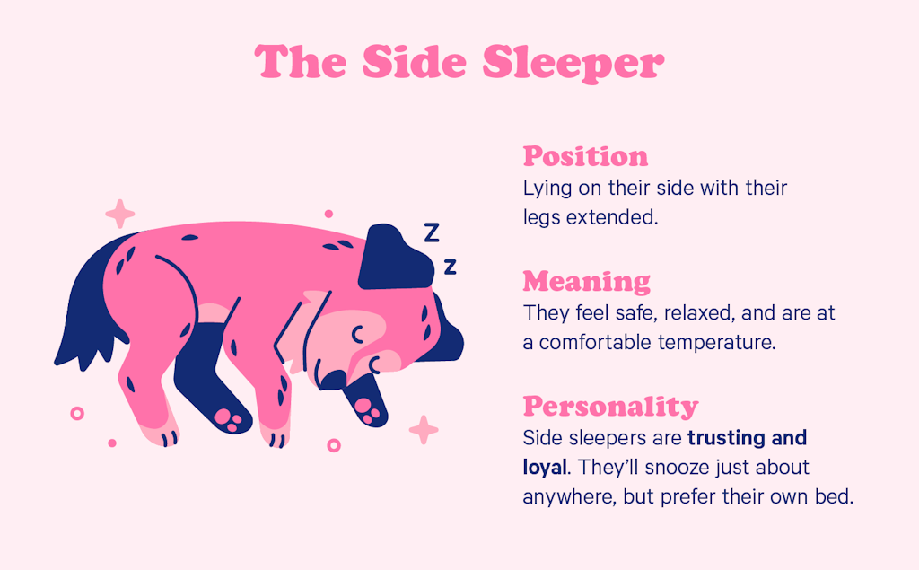 The side sleeper