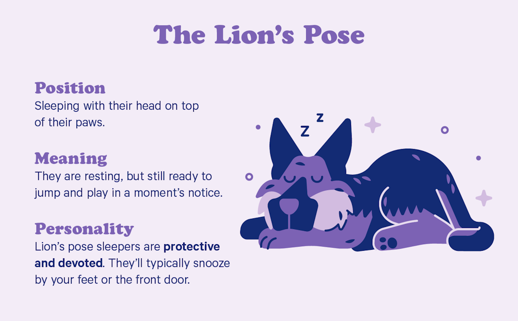 The lion's pose