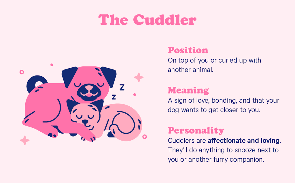 The cuddler