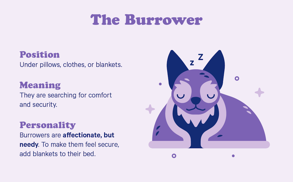 The burrower