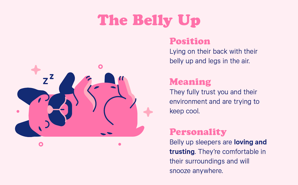 The belly up