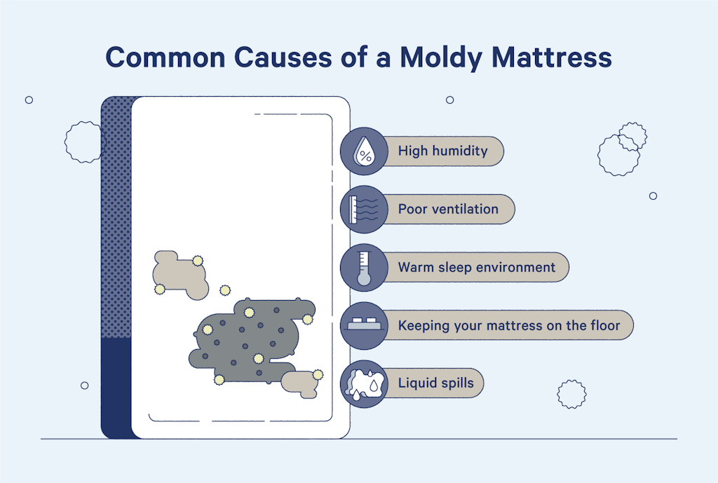 High humidity, poor ventilation, a warm sleep environment, liquid spills, and keeping your mattress on the floor can all cause a moldy mattress.