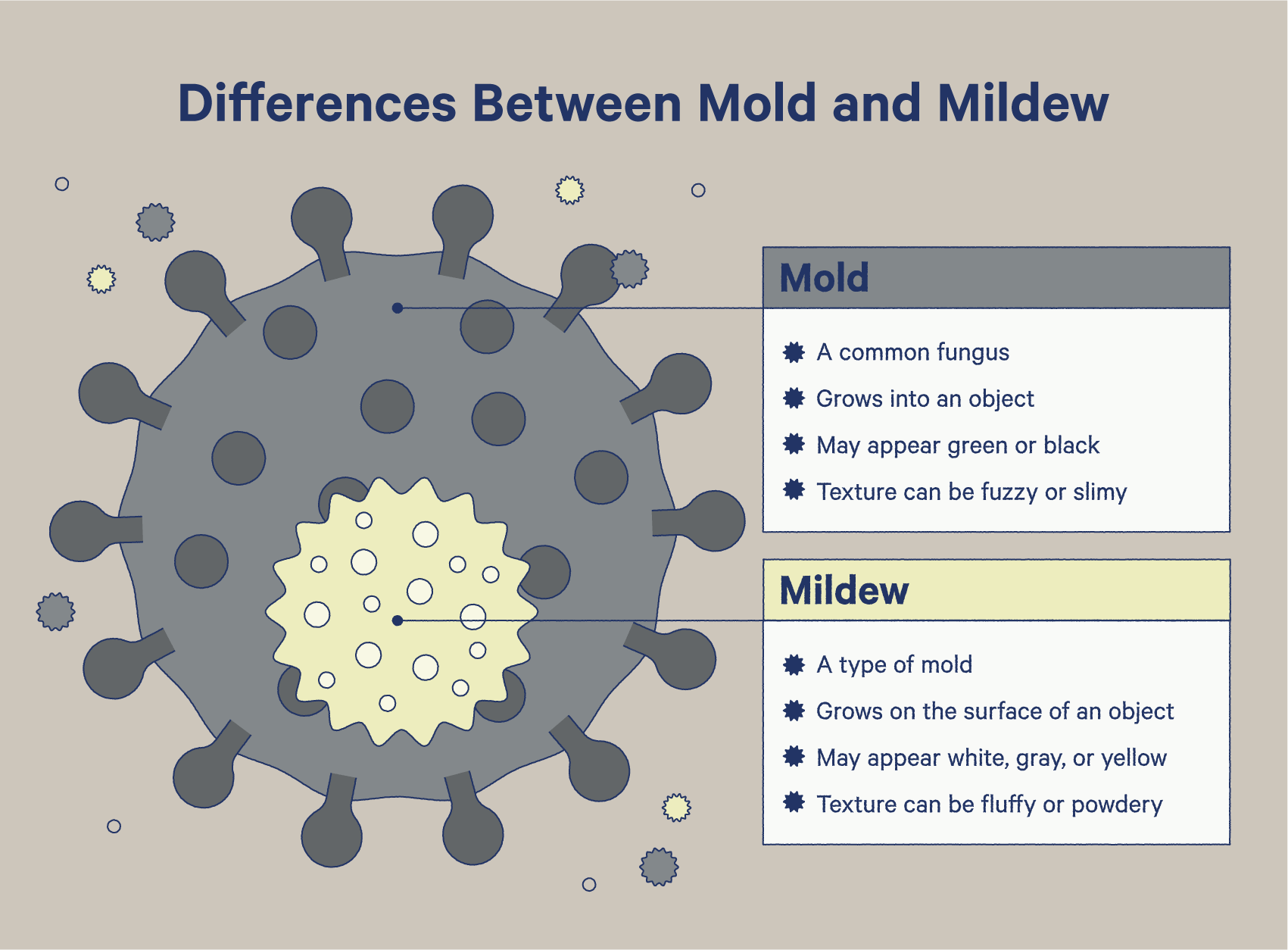 Is There Mold On My Mattress? How To Spot It + What To Do - Casper Blog