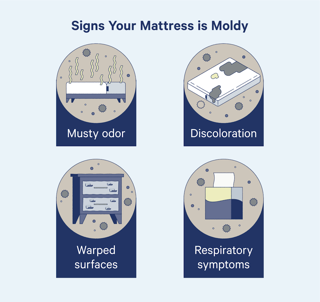 If your mattress has a musty odor, discoloration, your bedroom has warped surfaces, or you have respiratory symptoms, your mattress might be moldy.