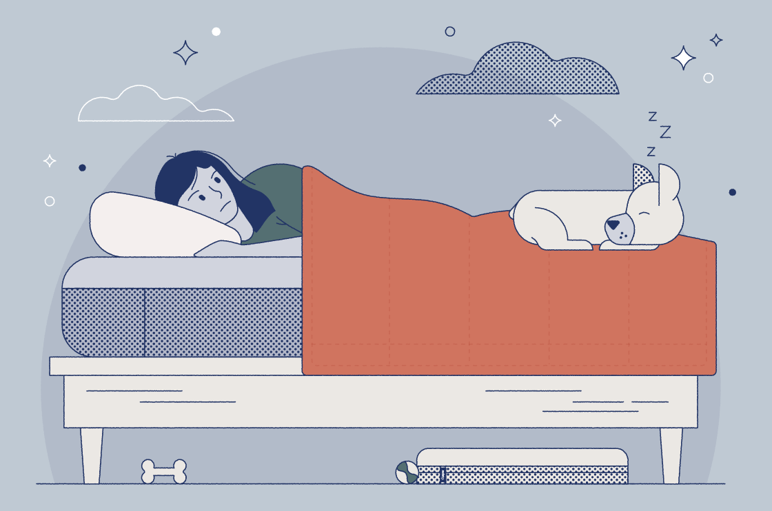 Dog Sleeping In Your Bed? 5 Reasons To Break The Habit | Casper Blog